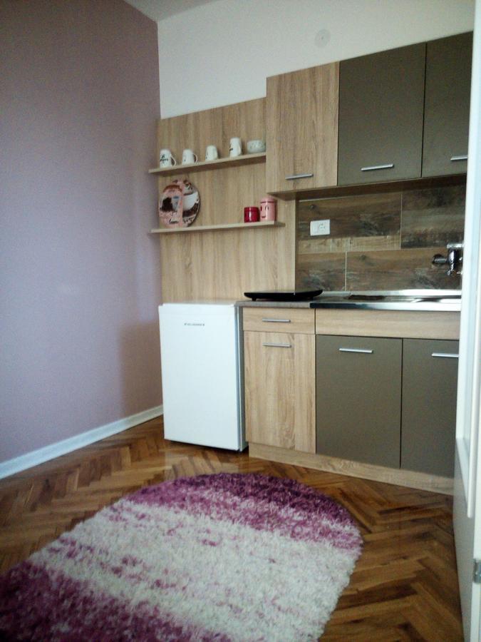 Apartment Holiday Vrnjačka Banja Kültér fotó